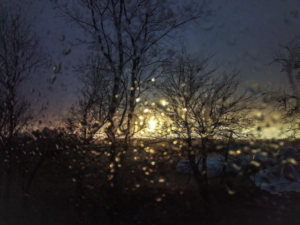 IMG 20190319 184912 (1)