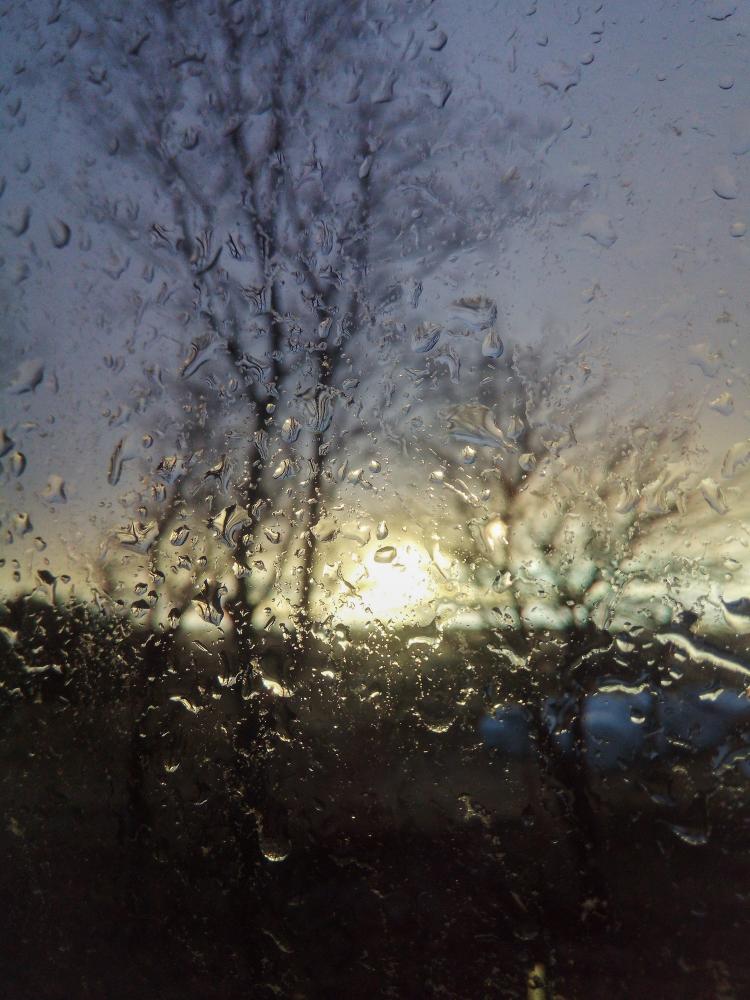 IMG 20190319 184945 (1)