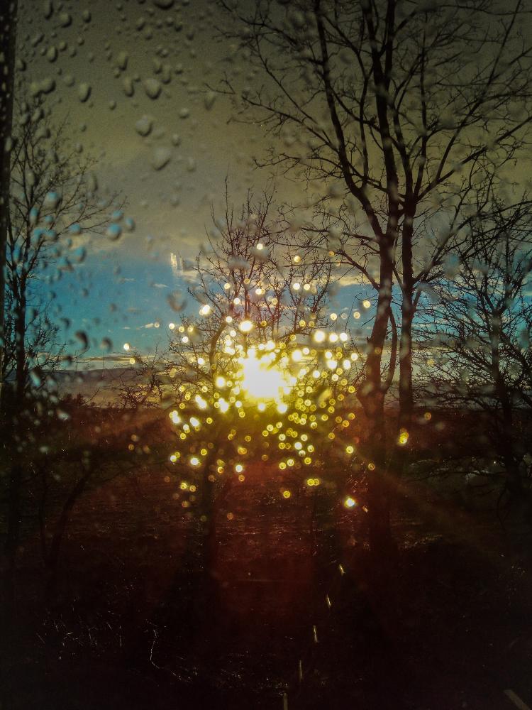 IMG 20190319 185456 (1)