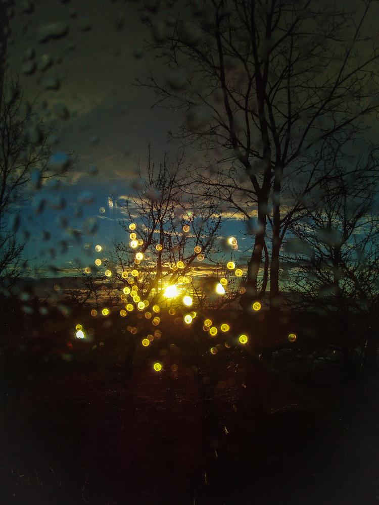 IMG 20190319 185540 (1)