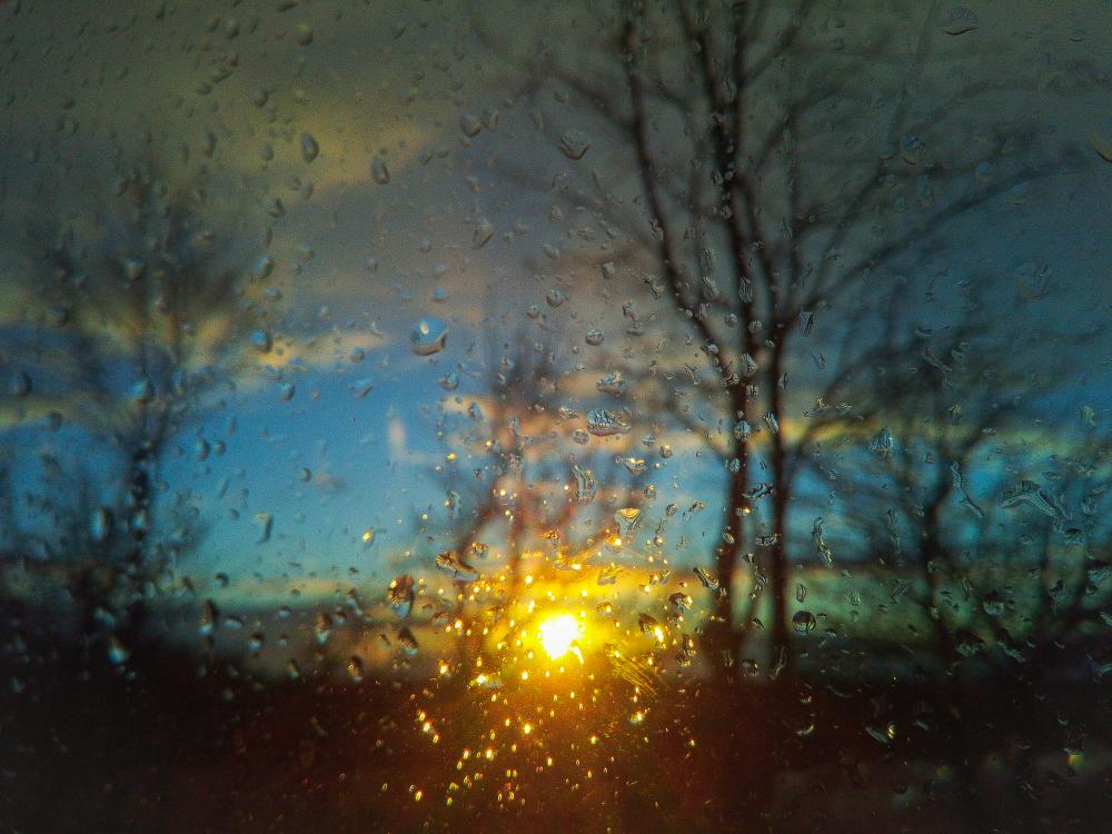 IMG 20190319 185634 (1)