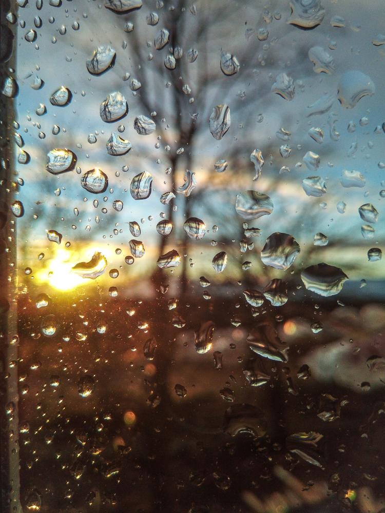 IMG 20190319 185733 (1)