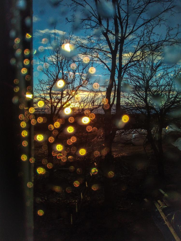 IMG 20190319 185823 (1)